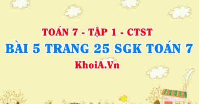 Bài 5 trang 25 SGK Toán 7 tập 1 Chân trời sáng tạo